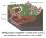 Illustration-of-a-smouldering-peat-fire-initiated-by-flames-in-the-surface-1-edited