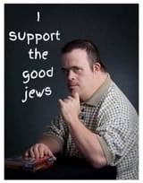 I support the good Jews retard