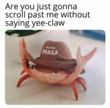 AYEE