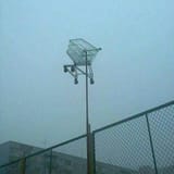 cart