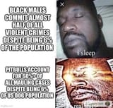 1739138365829138