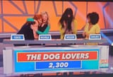 &#039;Dog&#039; Lovers