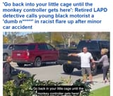 Nigger get back in your cage monkey controller