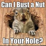 bust-a-nut