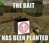 PLANTED13