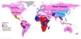 Causes of death