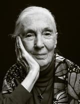 jane-goodall