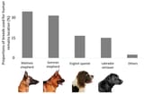 animals-10-01219-g001