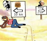 ameri bear burgers