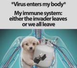 reactiveimmunesystem