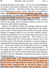 The Filipino by Metzger (2)