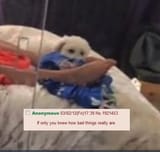 1603764424204