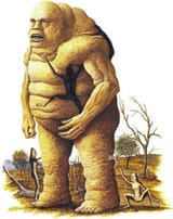 The Taxpayer
