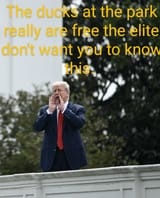 1754455990256570 (1) (1)