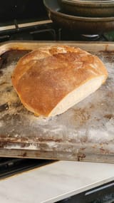 bred
