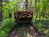 Logs