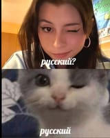 17457557257780