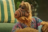 ALF-072423-b462b6e397b142bdabfa5a59fcc3e5f0