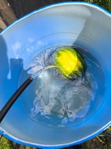 IMG_20250806_130906