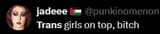 average palestine supporter