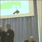 flying dildo