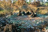 49B7DA3C00000578-5452713-Paul_Blackmore_took_this_picture_of_Aboriginal_drinkers_surround-a-1_1520122123462