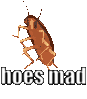 hoes mad