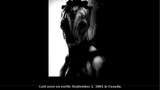 Alien Races KGB book - Leaf Ayyy