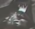 1686287684410779