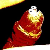 1000002590