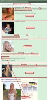1pbti poland INCEL