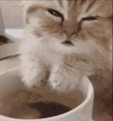 CoffeethenGM