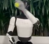 optimus_catching_ball
