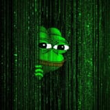 OIG.VXXGuj_PElmuUtpdv