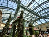 IMG_20250727_113204140_HDR