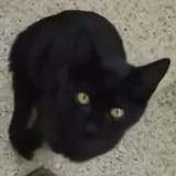 1754494018672