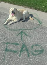 1743286591901545