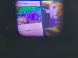 20250806_104450
