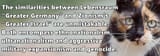 1681811963_animals-pibig-info-pklkjlhkhkh-koshka-trikolor-zhivotnie-vkontakte-70