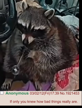 1750443112675131