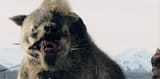 Warg