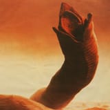 sandwormcropped