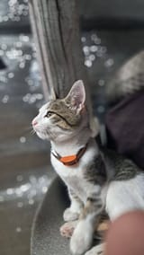 IMG_20250730_030407_982