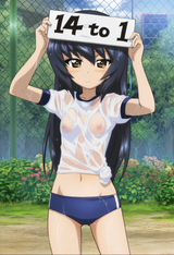 nsfw, 1girl, girls und panzer, outdoors, garden, sunny day, official art, cow s-2836804462