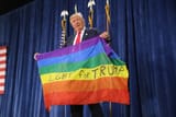trump-clown