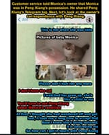pasted image 0 (2)
