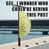 wonder who could be behind this post - cabbage edition