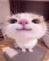 VID_20250721_212236_850_thumb.jpg