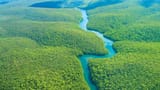 amazon-rainforest-hero