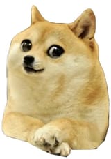 1754441864314823